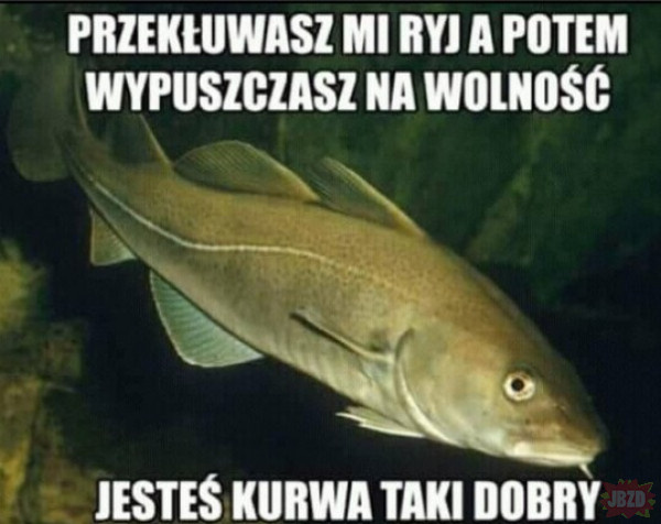 1d3006bc-0efd-4388-8799-0f0c55f7f821