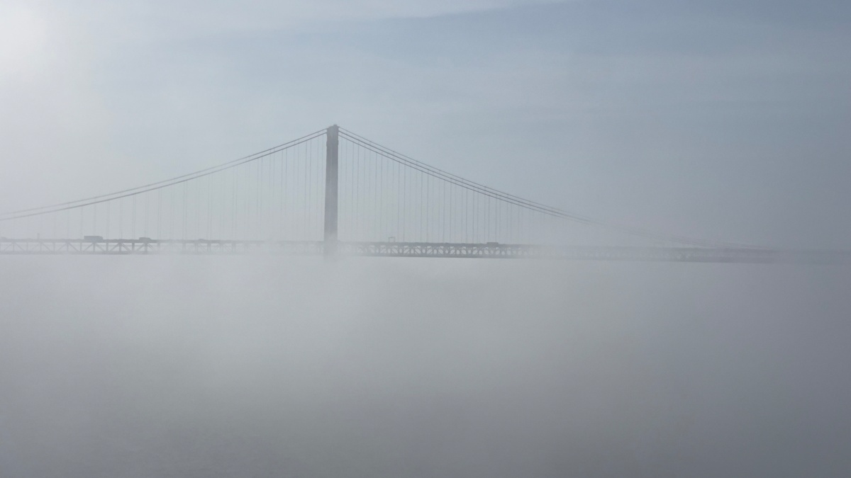 1018b61a-593d-4051-b072-ea7867e5a7e3