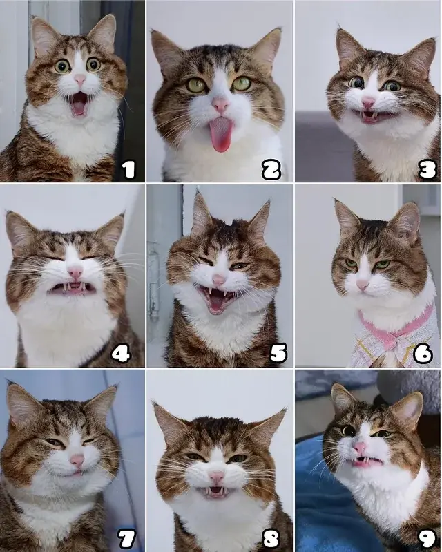 da6b3d78-2d07-4c41-b2c6-cdbaf1659da4