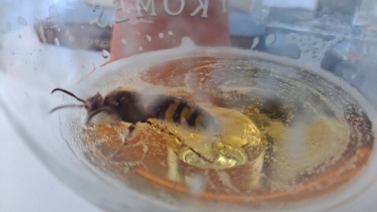 906c517b-1812-4c68-8f0e-3054974963d6