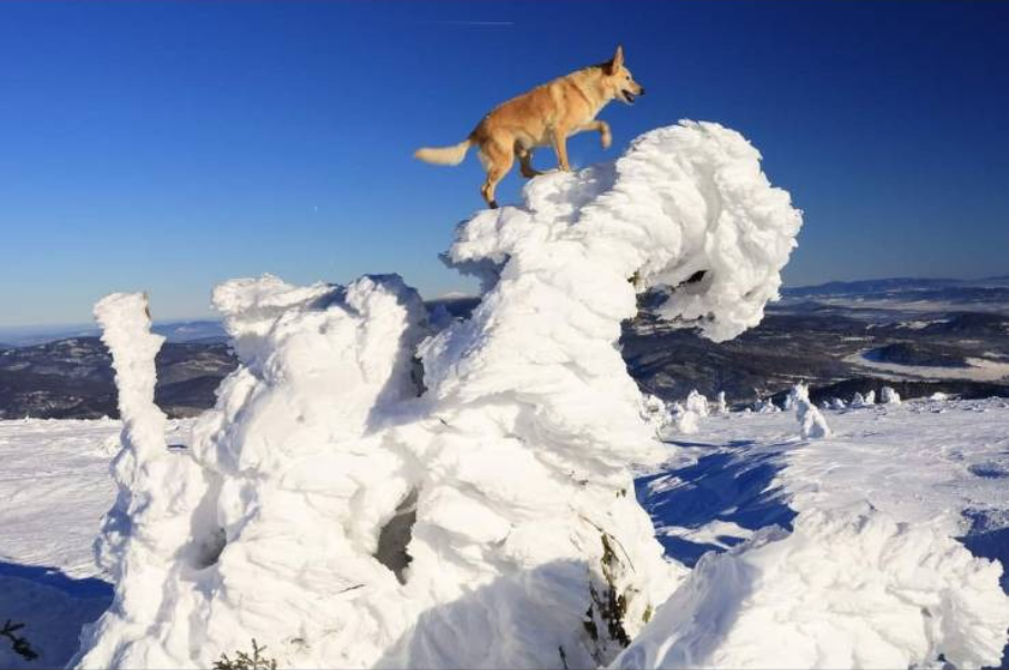 139c2315-b2ba-492b-8b8b-2675bbe8b7b2