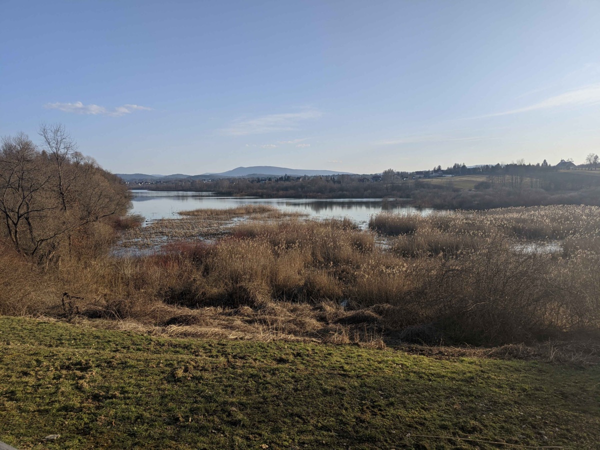 cf1cf552-04ff-4355-98b7-6c2076309674