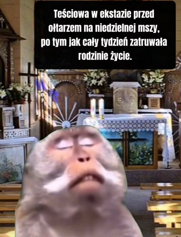 49cbef16-3a68-4b1e-8756-b8882b350847