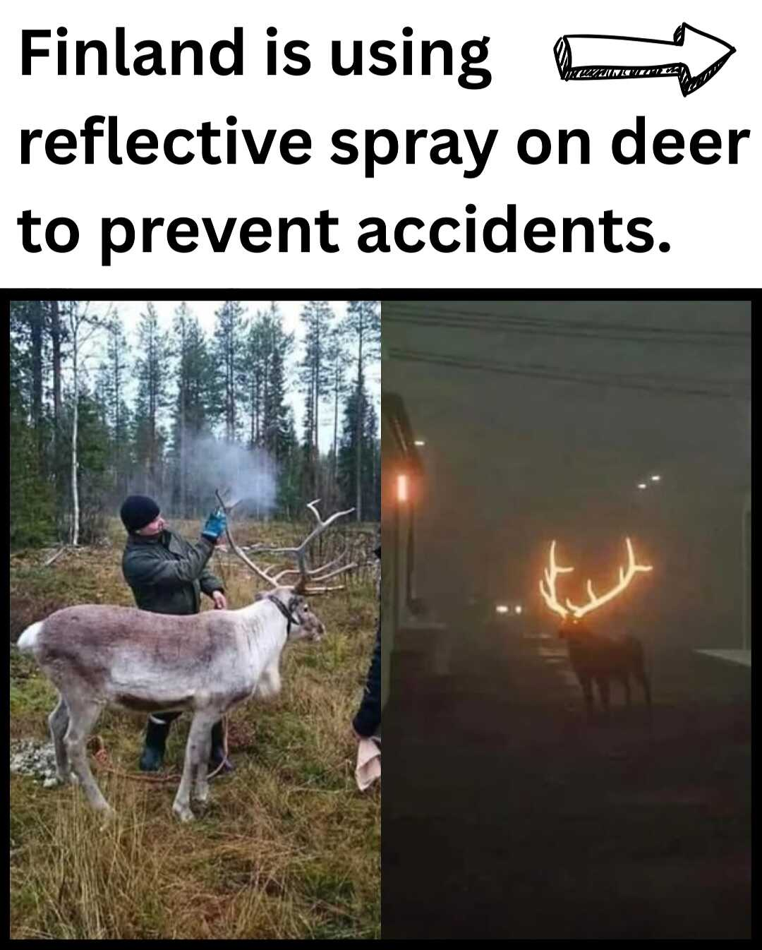 b5654a61-1bf4-4092-8951-774cb8818bb0