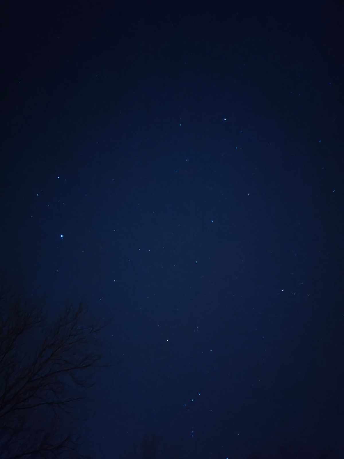 7f351cd4-3329-48d7-a70c-517e7156e984