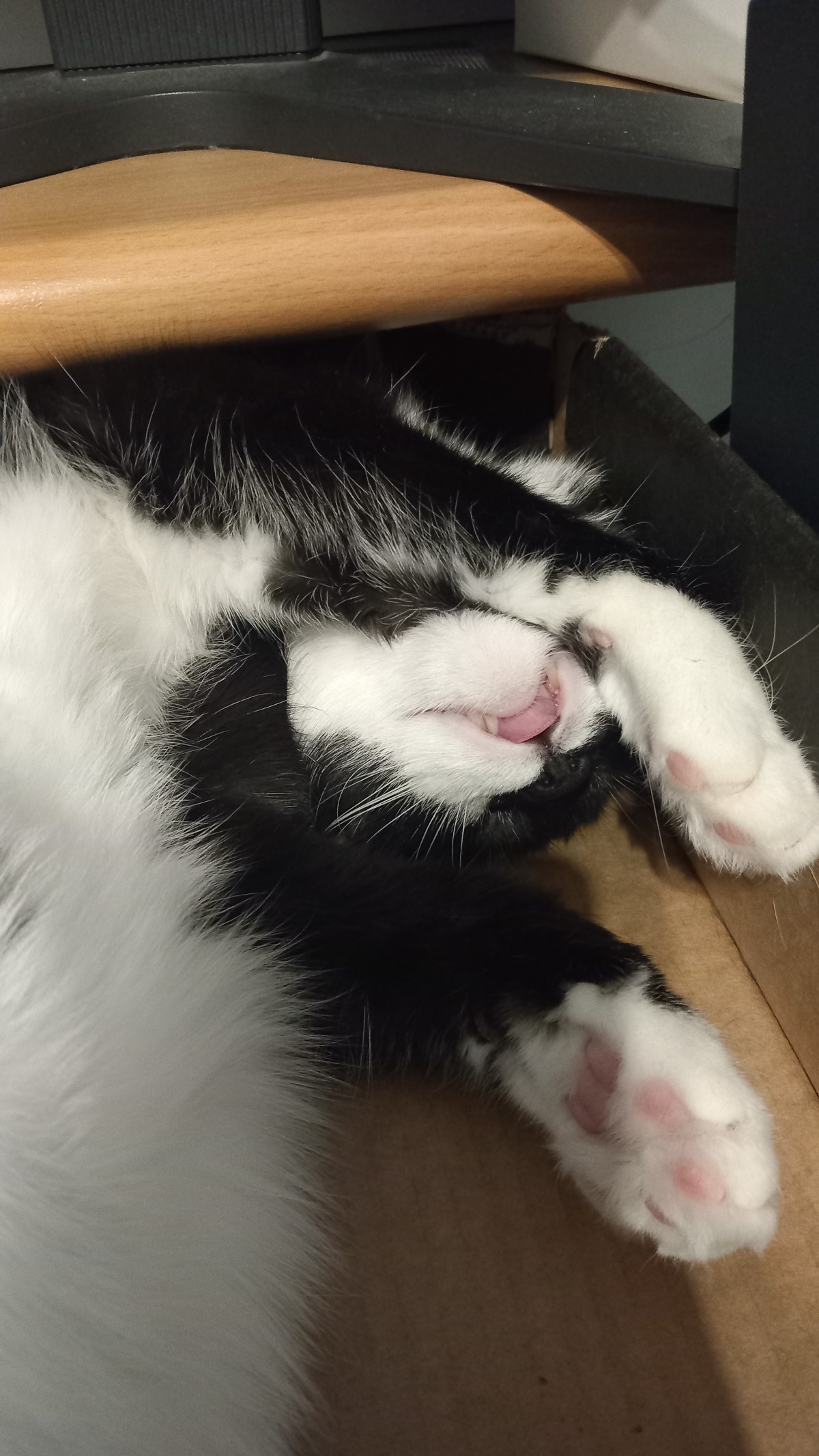 6e2b7ae3-0143-487f-bb9d-76aeafac31bc