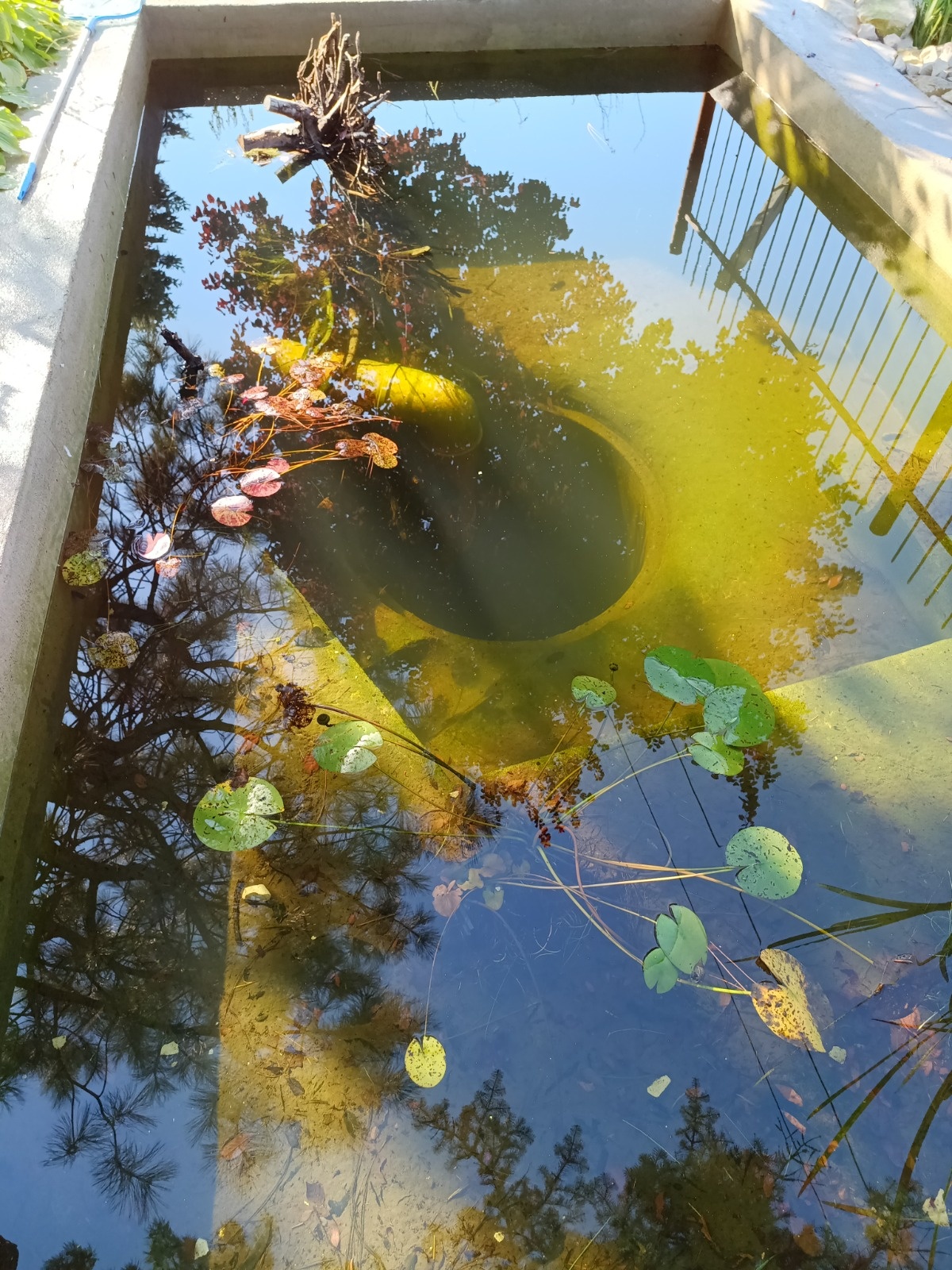 b6b7c450-3eb9-4a54-8ebd-5c5294153a8a