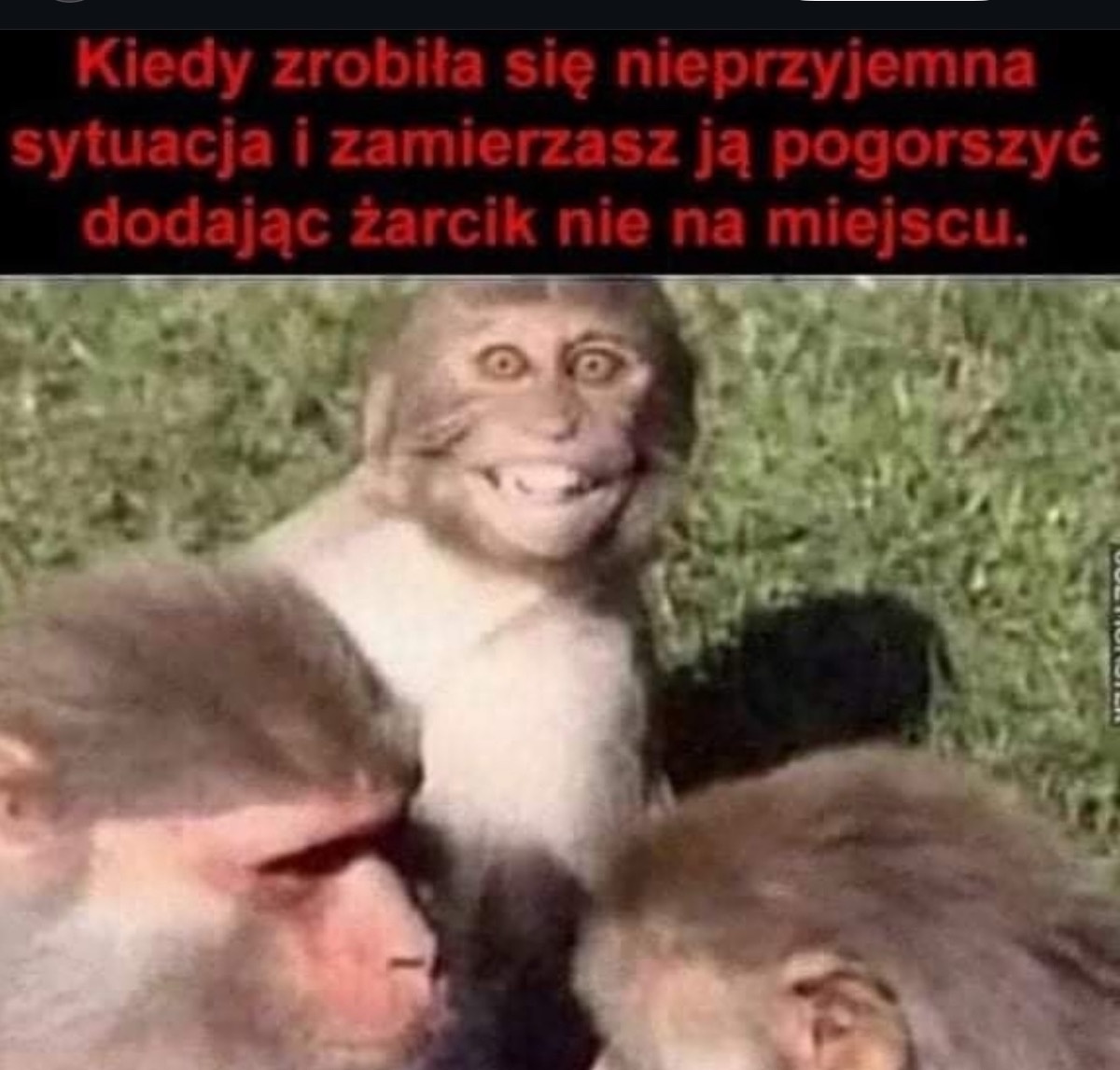 4a421c8c-5537-4c71-b4a8-fbfc6027a176