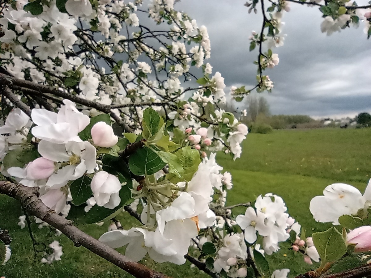 bbb05445-9d3f-4f86-8ea1-c967843cb26f