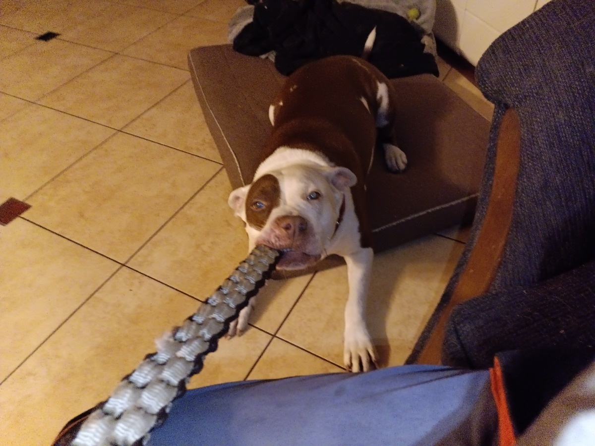 b48839fe-177a-4a26-bc3b-0410e9964d4a