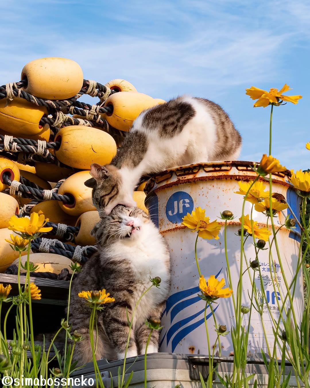 133dd0a0-890b-450e-aa21-ecc93d8450bf