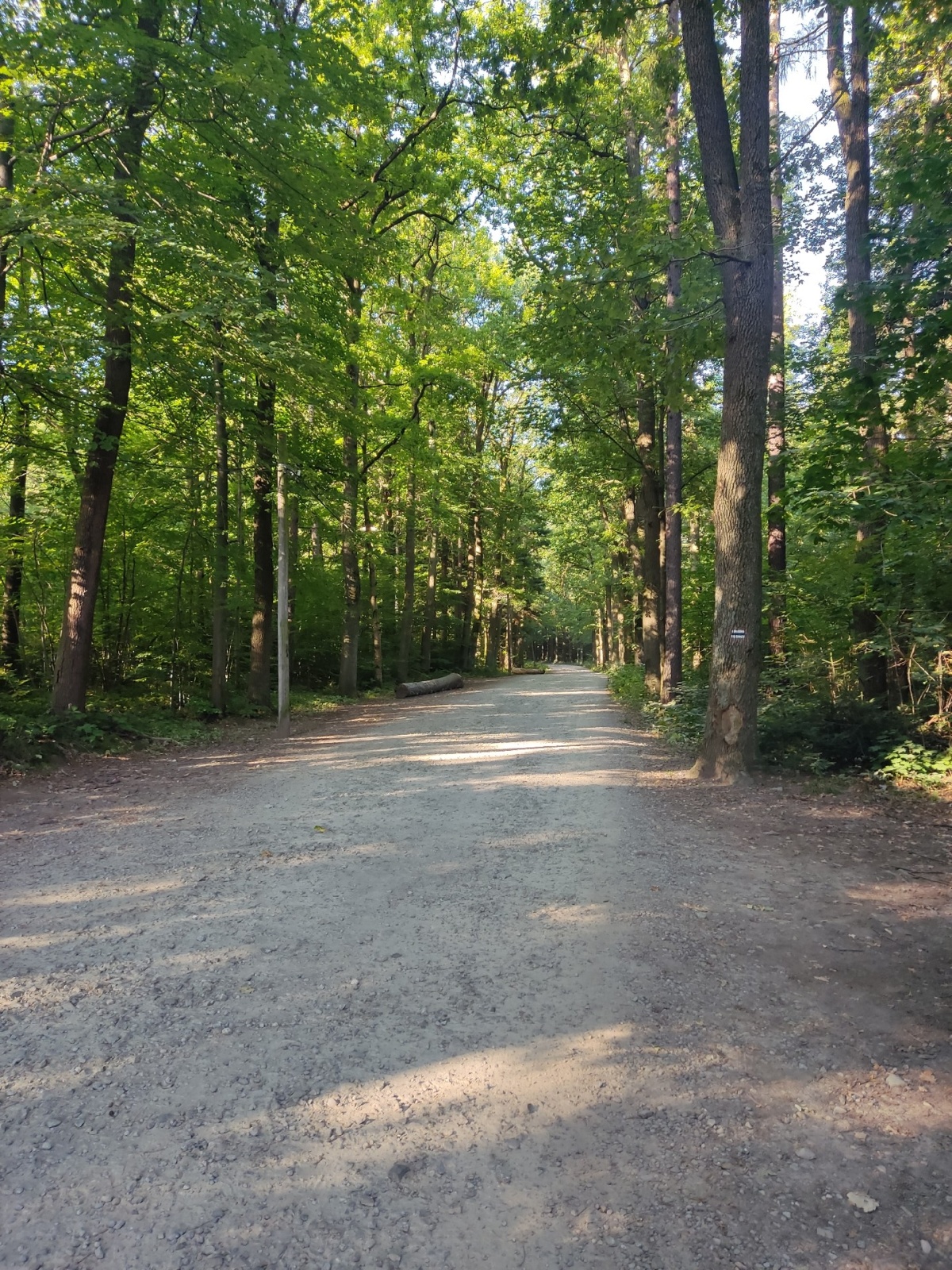 81413554-ef49-4237-aa12-c93b6892ab89