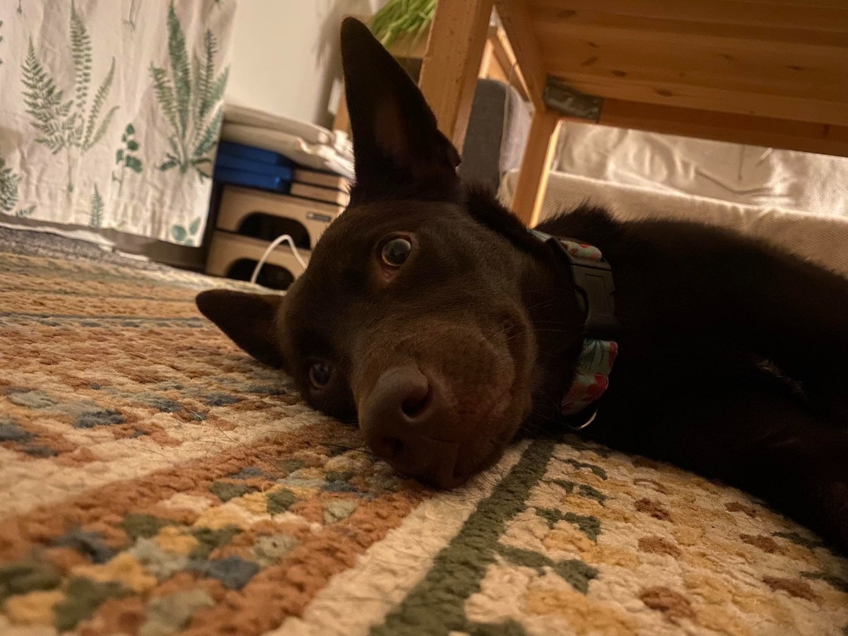 7192b543-8202-49d7-8453-85205f0a537c