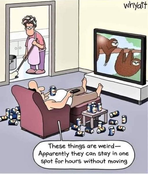 56949a9b-51c1-4dff-8e98-5ff3d7105ca5