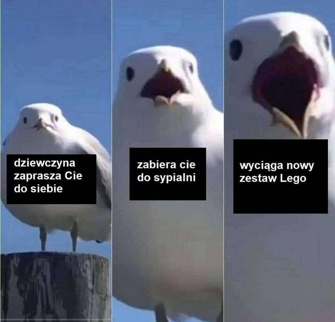 afdce026-54be-4903-9eae-ae91fcbda63f