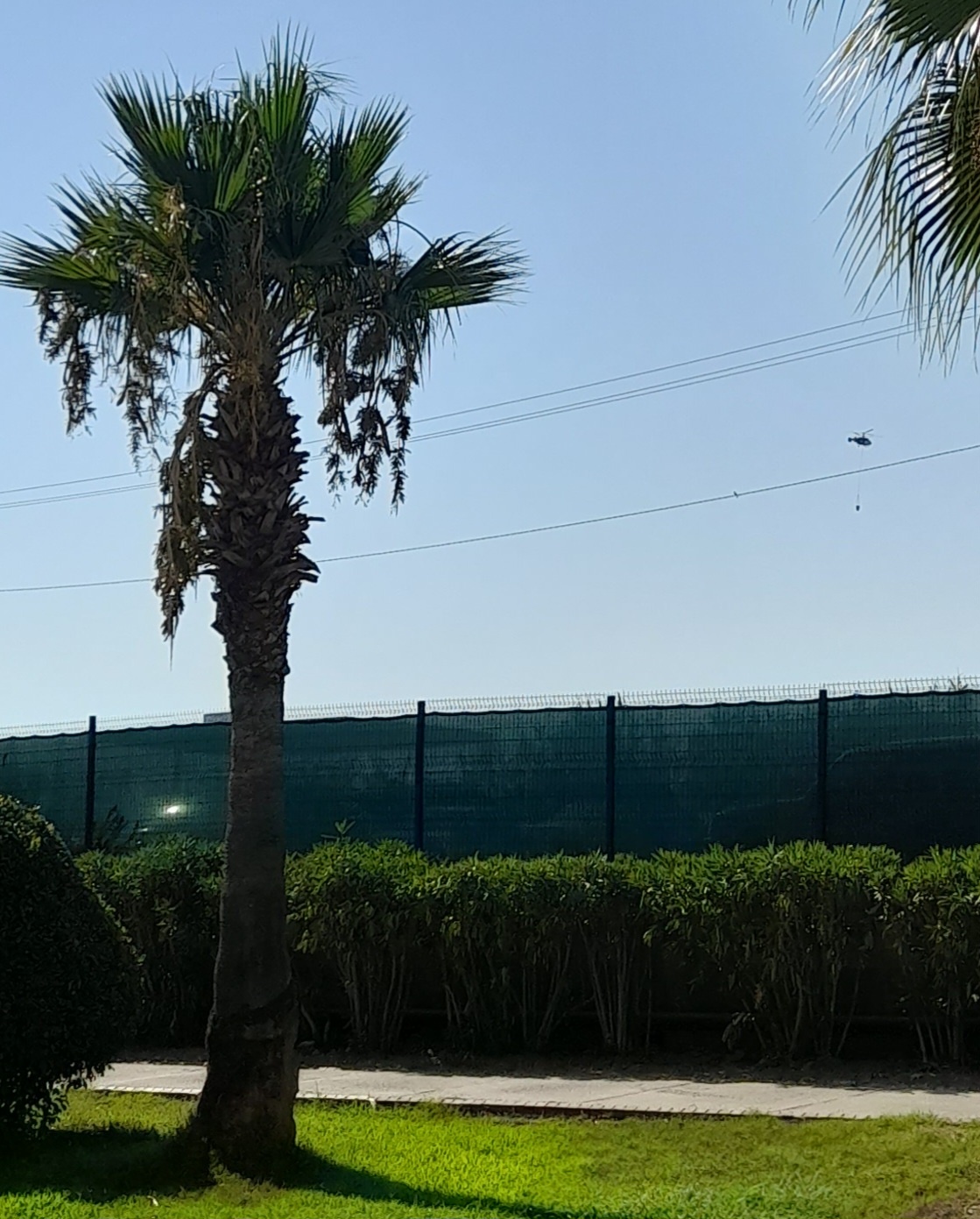 e69529b8-a488-4d8c-ad83-bc4f0f30e64f