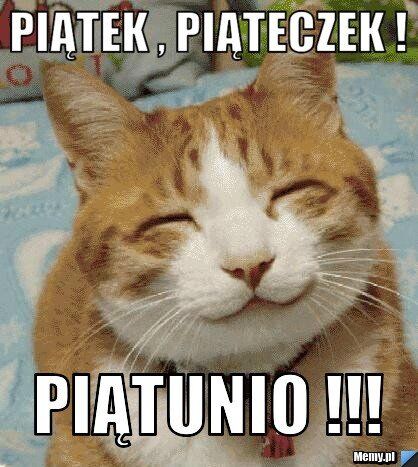 f0ce0b73-a6c4-4133-bbbb-84f4d6bfe72f