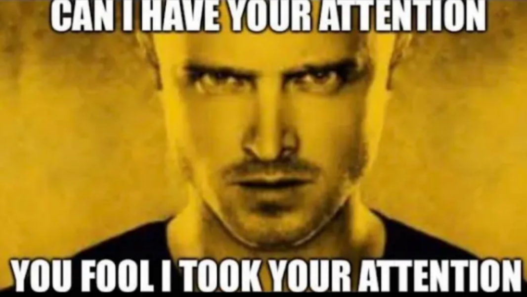 8d5bd8ca-ab64-49d9-86ab-78df2aea2232