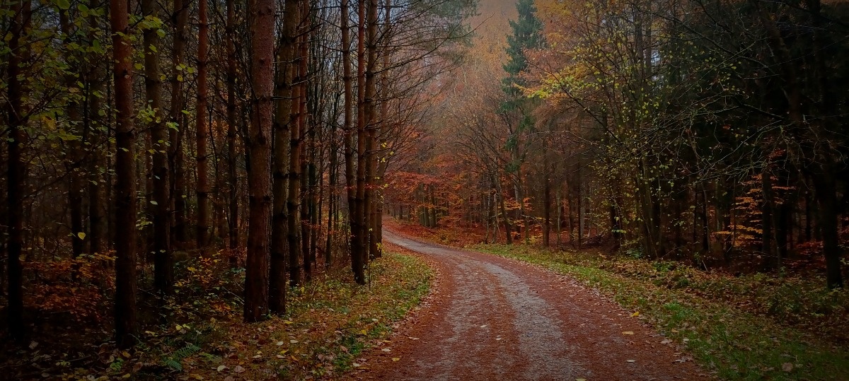 074e4dce-f354-4062-bc0c-66d66764a928