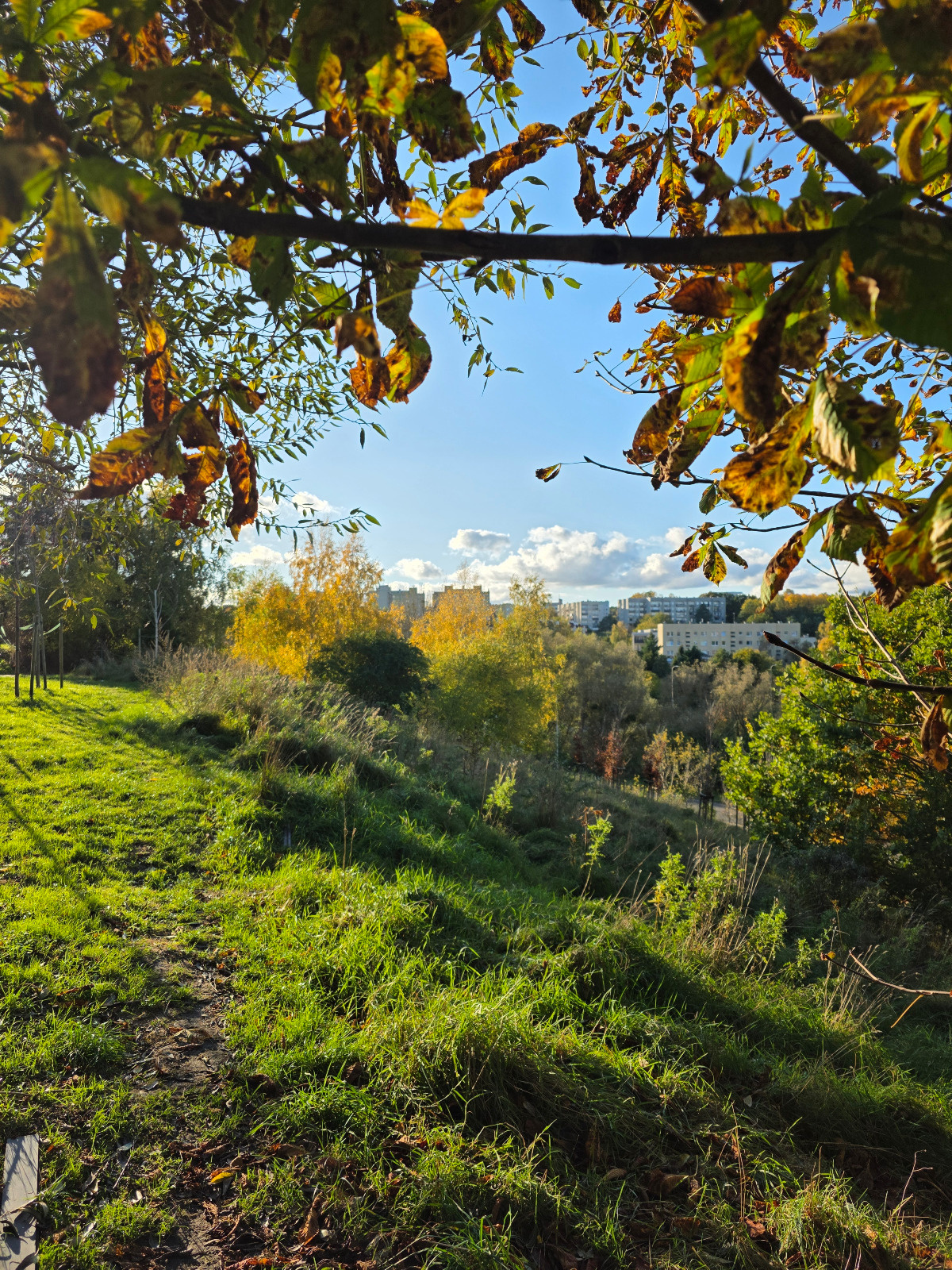 504f6fca-02aa-48cf-876e-82e7c45e7a02