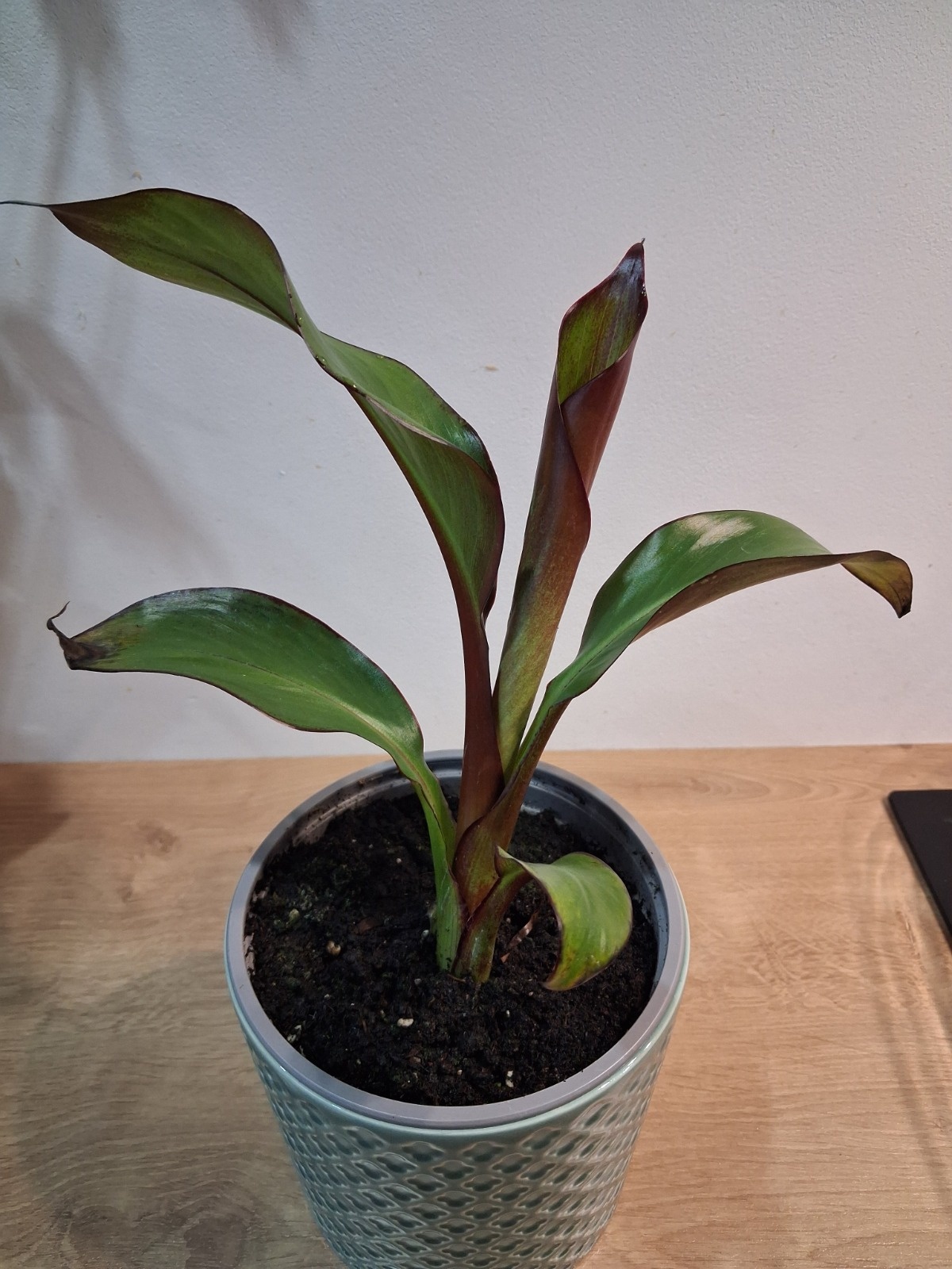 91faf09e-2ae3-44eb-af26-c4ad808a0a2d