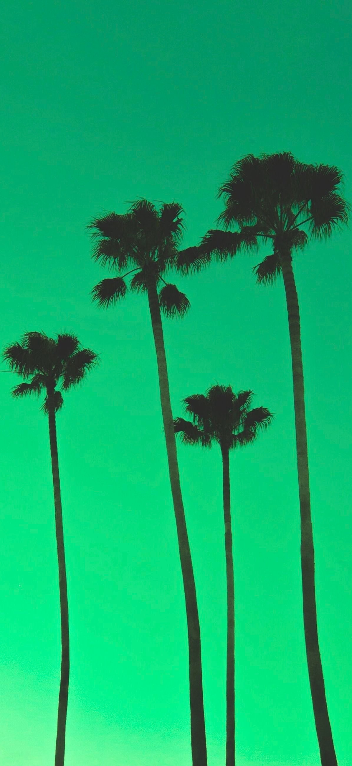 d0f48707-5ff9-44f8-a78d-f851bea05538