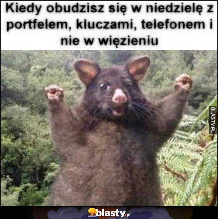 751ed132-eede-4999-8323-d5c9e11dbbe0