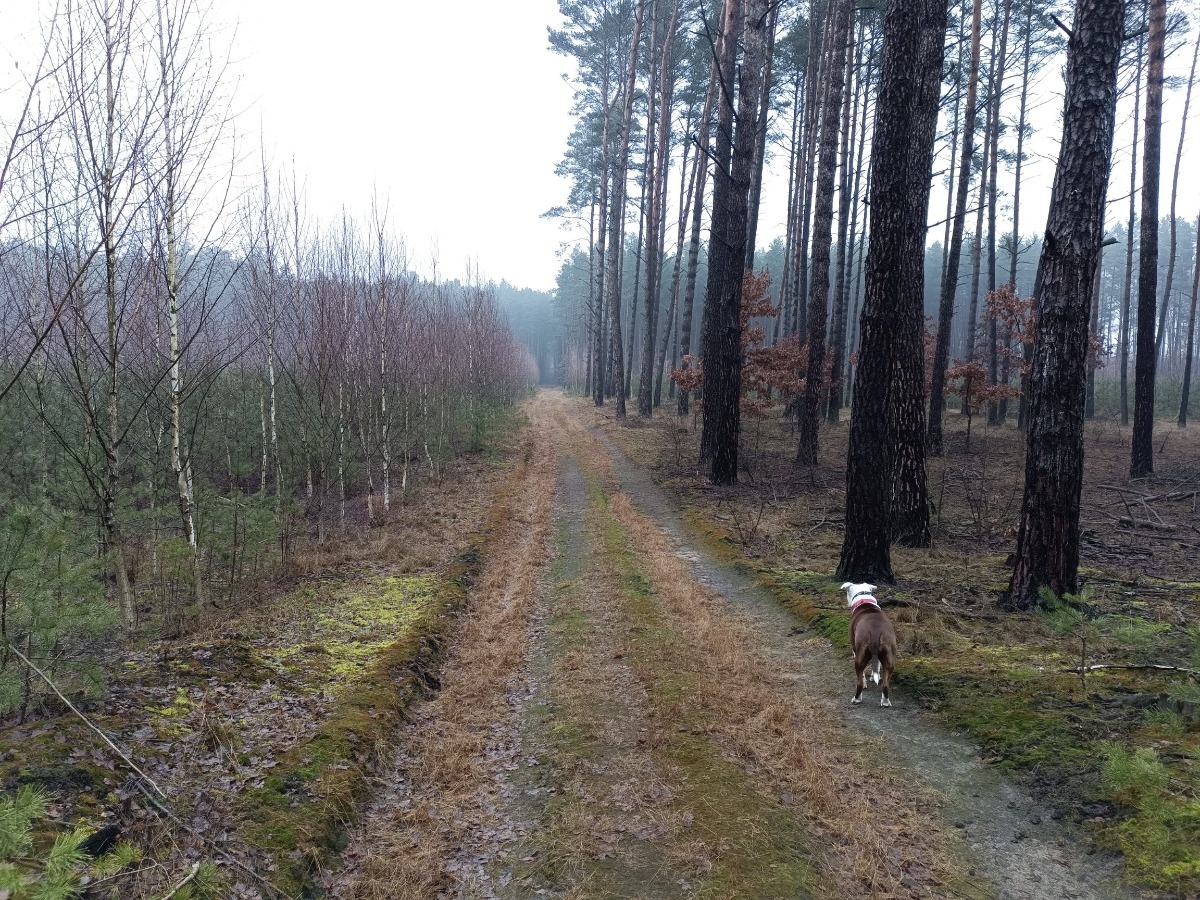 088eeb08-8e3d-41f8-acfd-dc0aff6d4dfb