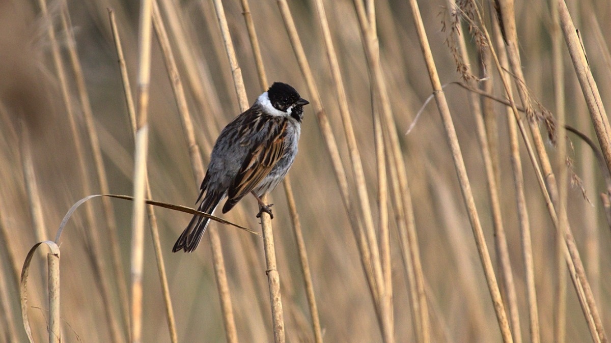 334bcf10-e465-41e2-8f30-99a48dc4b24d