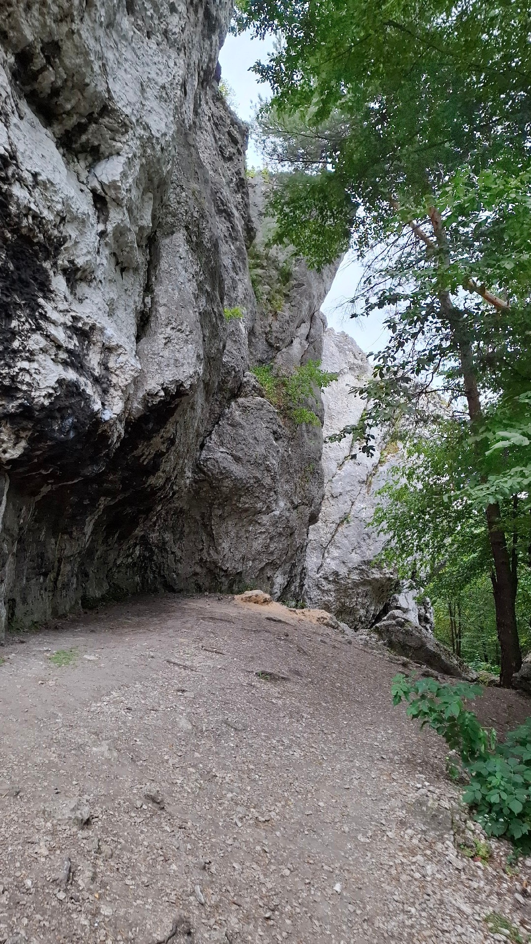 88a63596-a3ae-4c1c-bc0b-8708a7c54fdd