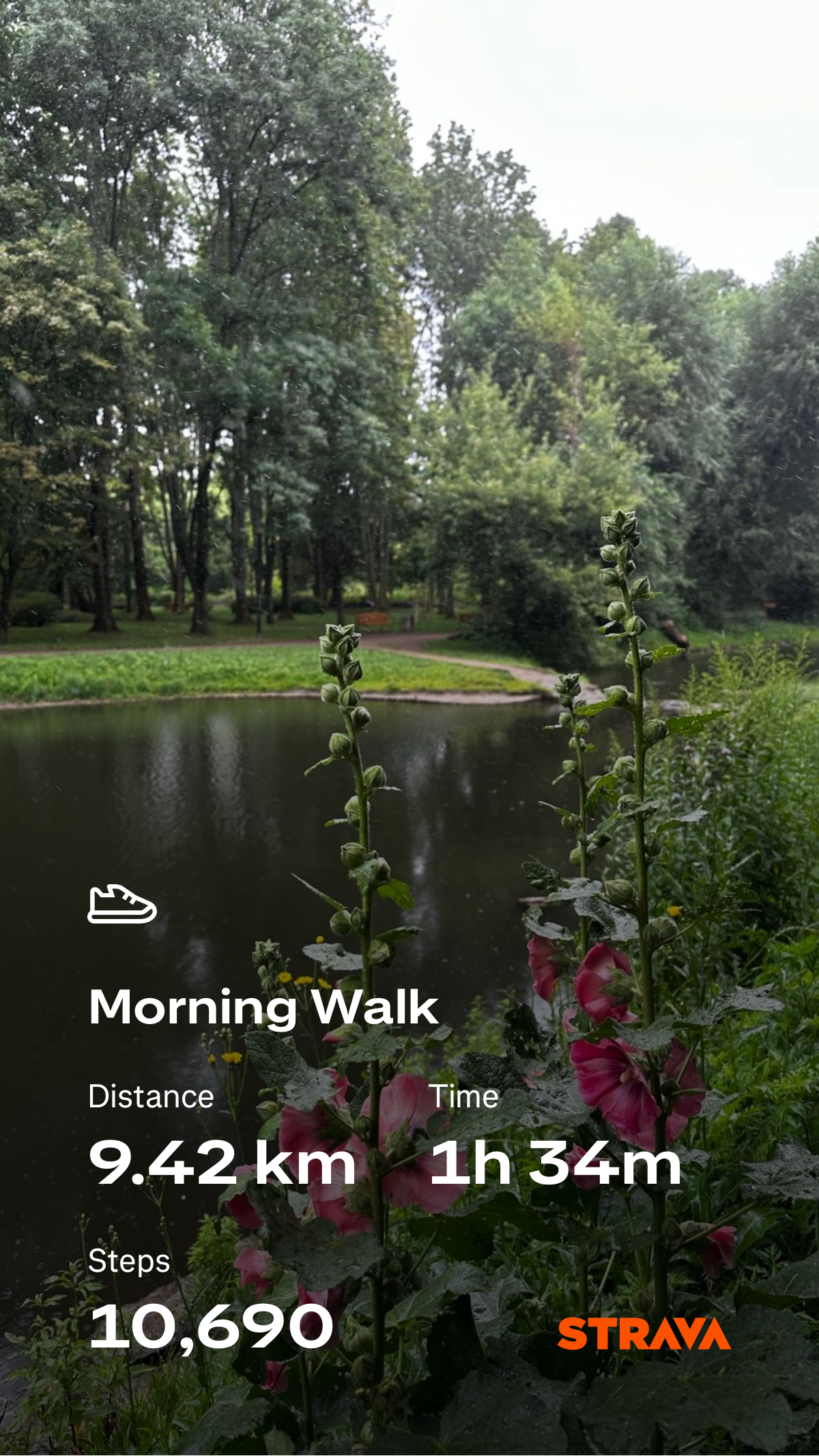 e1878bd4-97c4-4f49-b799-ec1ac14ffac8