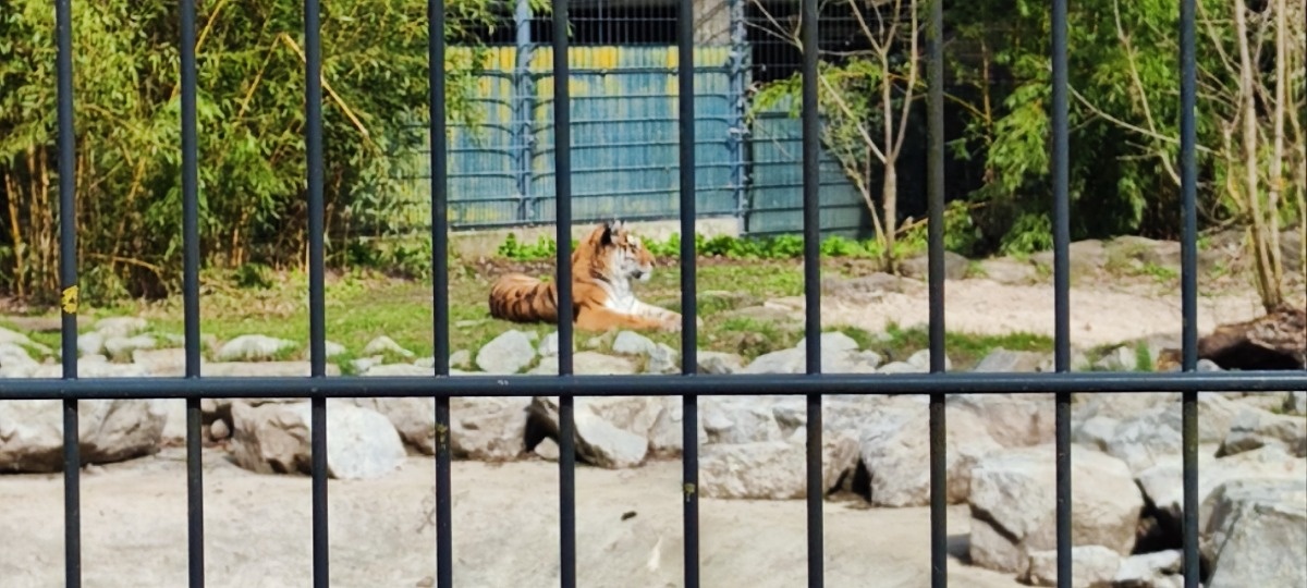 cfd245b7-853d-459f-ab34-6e752a112008