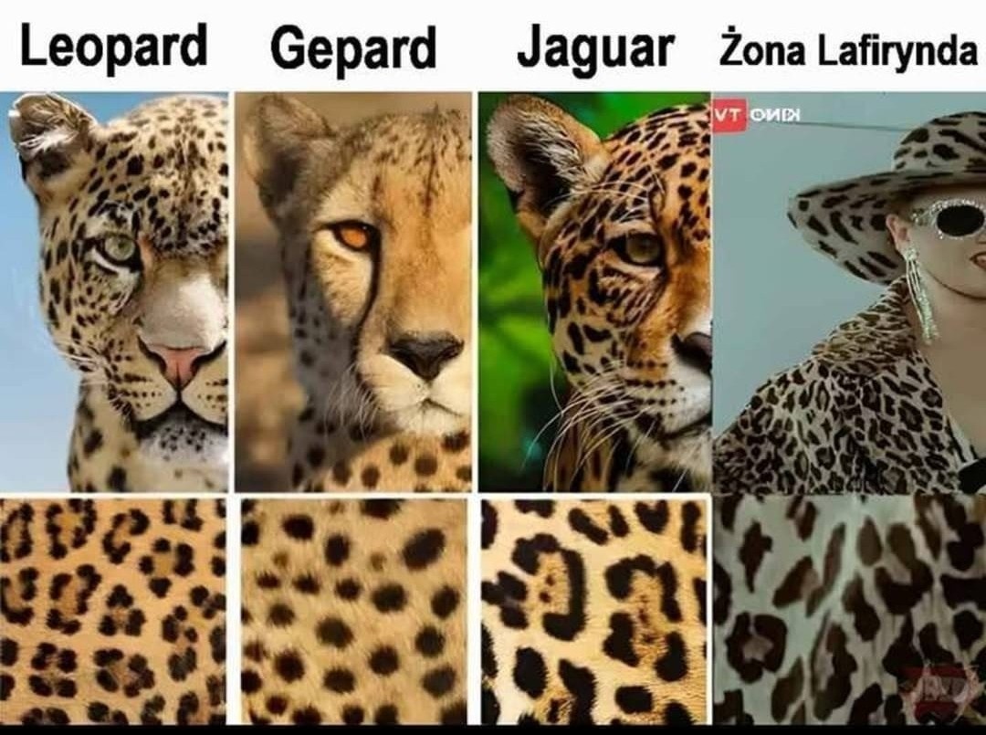 593bd073-64ec-4967-a334-7c1707b6017f