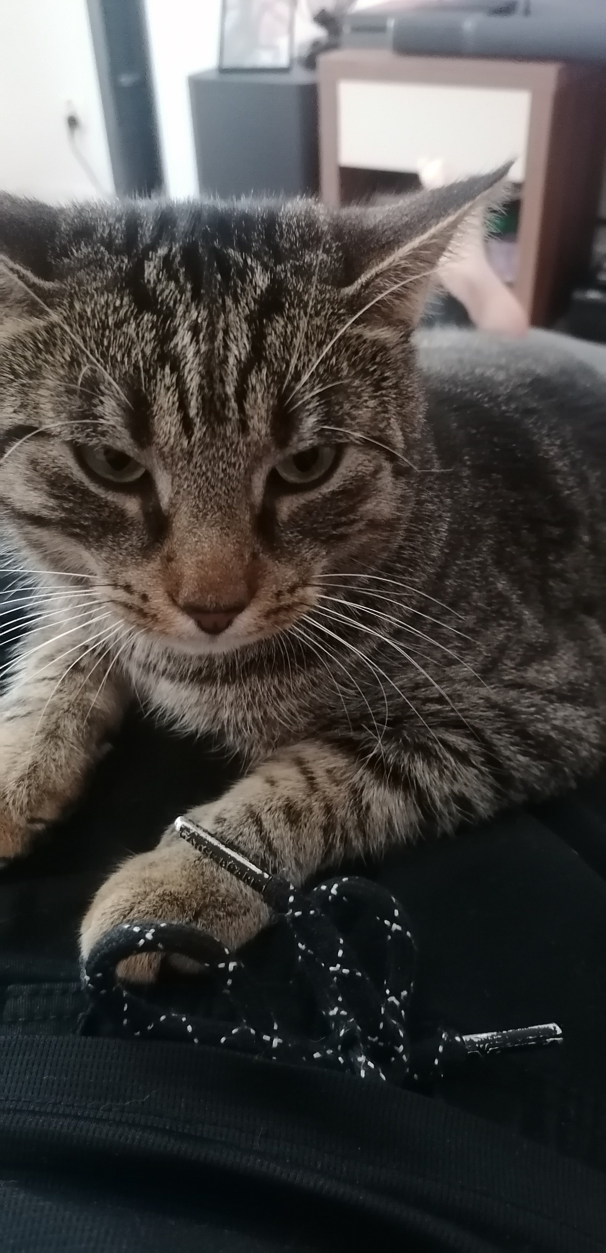 83b5b273-54e2-41f0-9a81-1b47ca5789ad