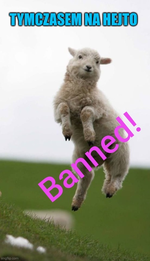 82513831-4158-4a3e-8ecf-cc393f3231fb