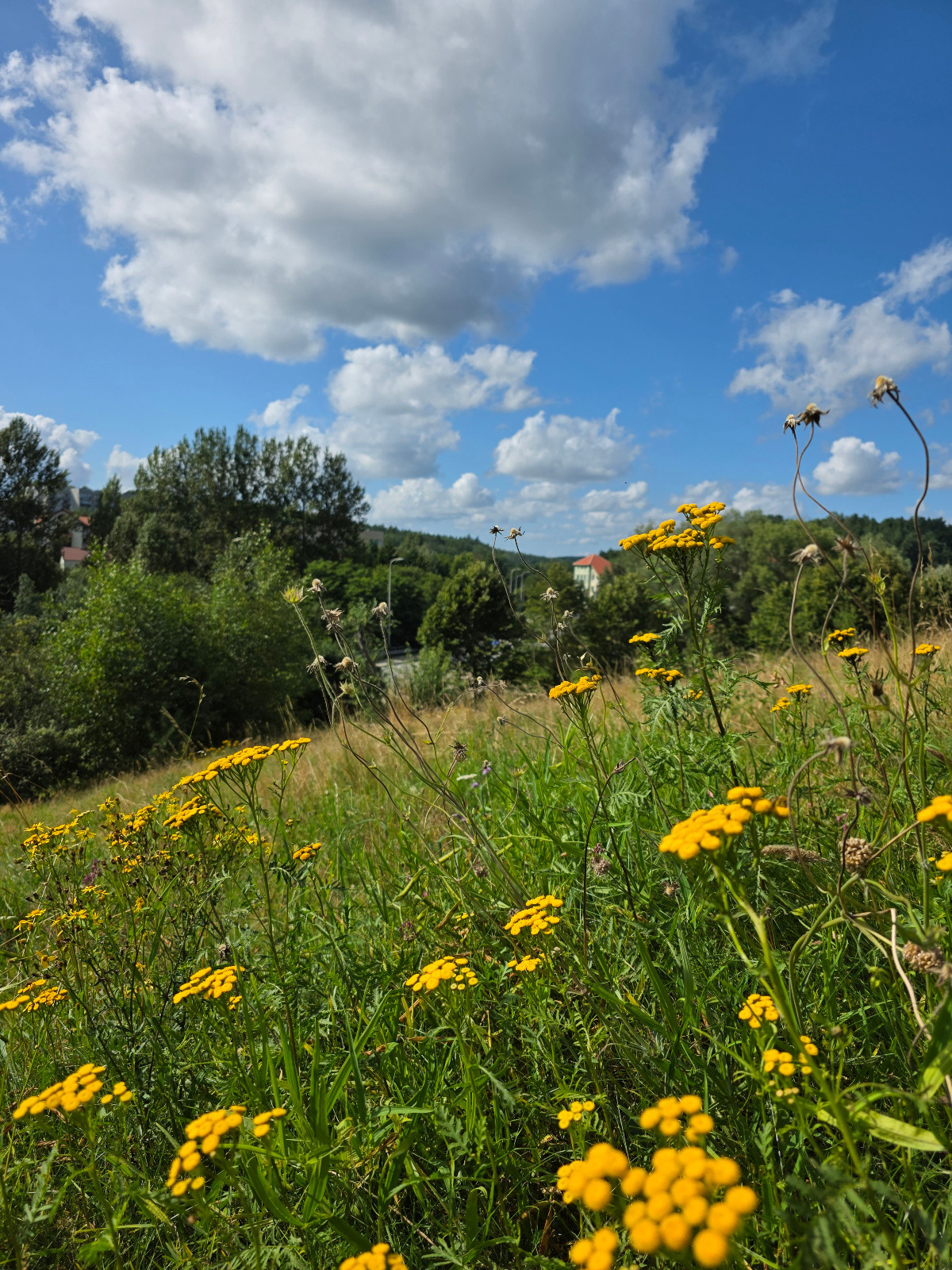 ed0103aa-ae80-45d0-aa3c-93427f04f64e