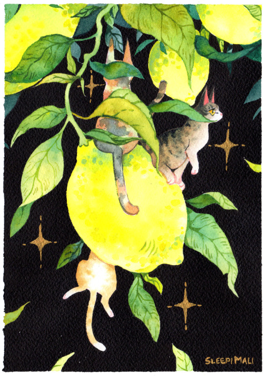 6cd33f78-ae29-44c0-a9dd-c5f9e0410cd7