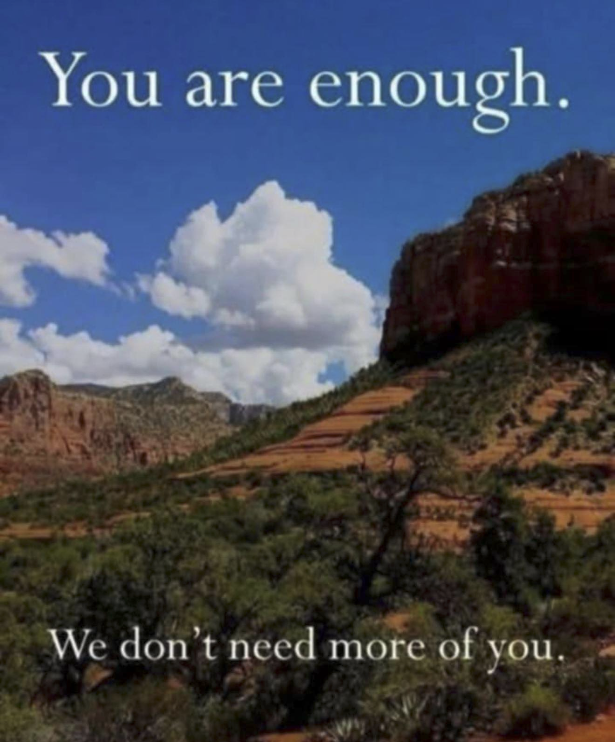 05b80e5c-0254-4678-803b-5b1995e2ed17