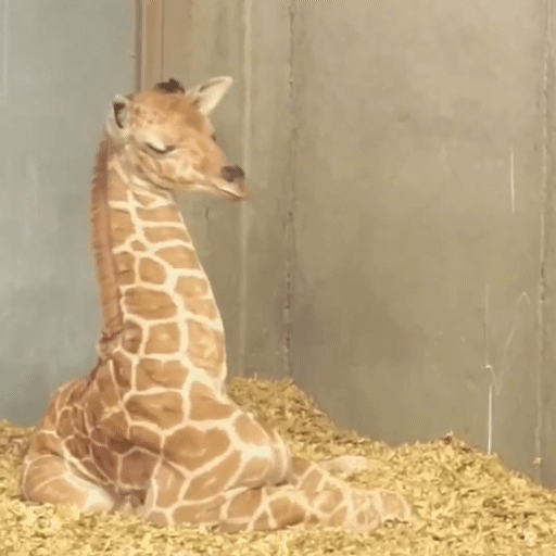 3e5b441a-d151-42c6-9587-009f59ab8859