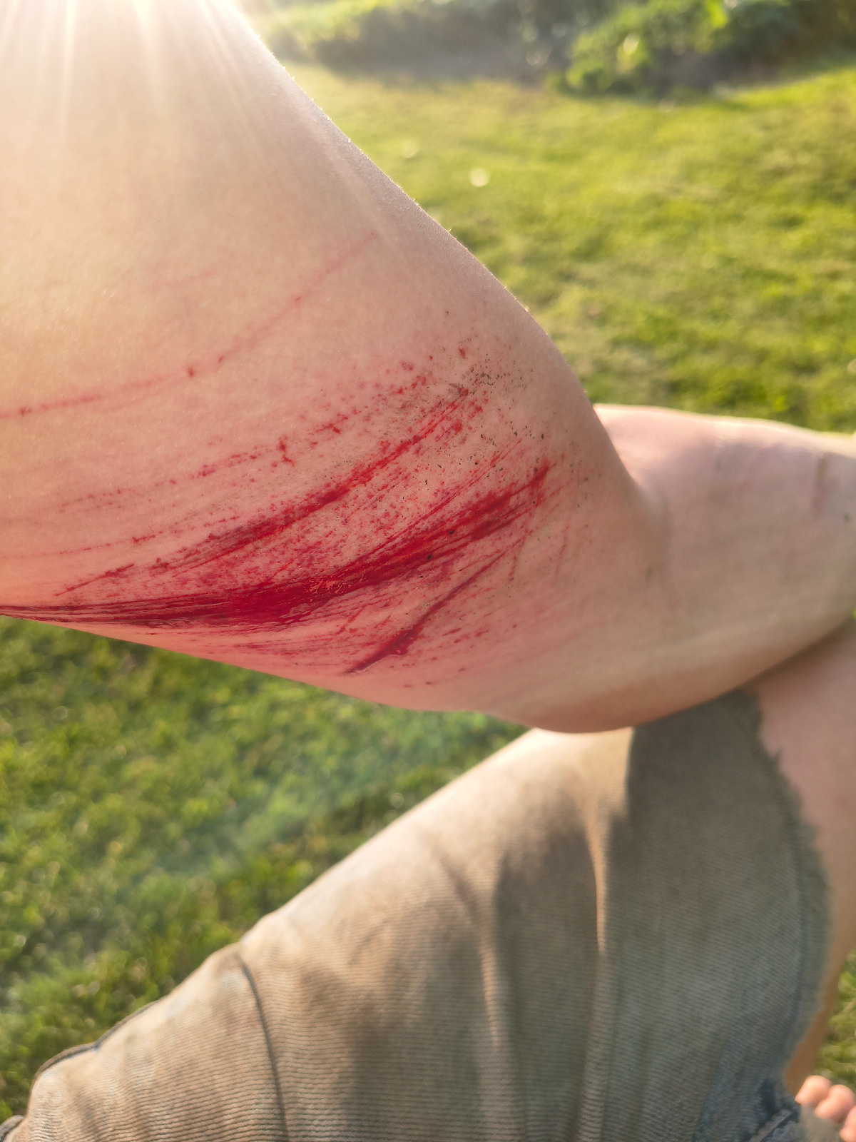 ad52fd9f-a200-4b7a-935c-cb8459503f74