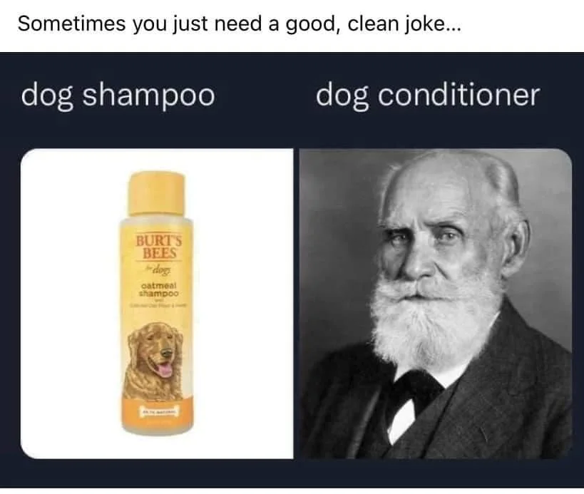 a192cf2e-73dd-4967-b760-969f3faf4e16