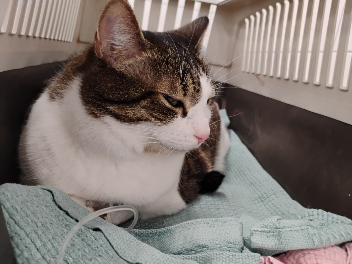 fe542368-2e79-4a6e-9907-c3667a5842d4