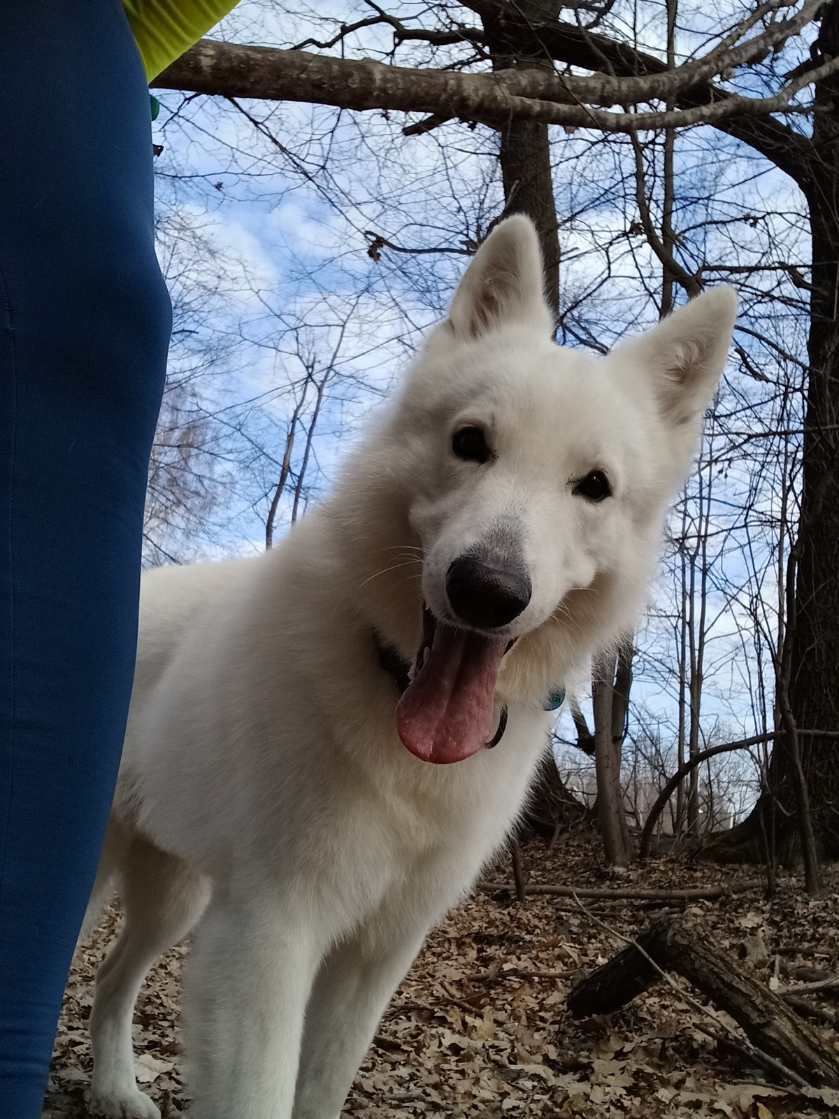 20a106fc-2843-41a7-a645-9c0f2c446a73