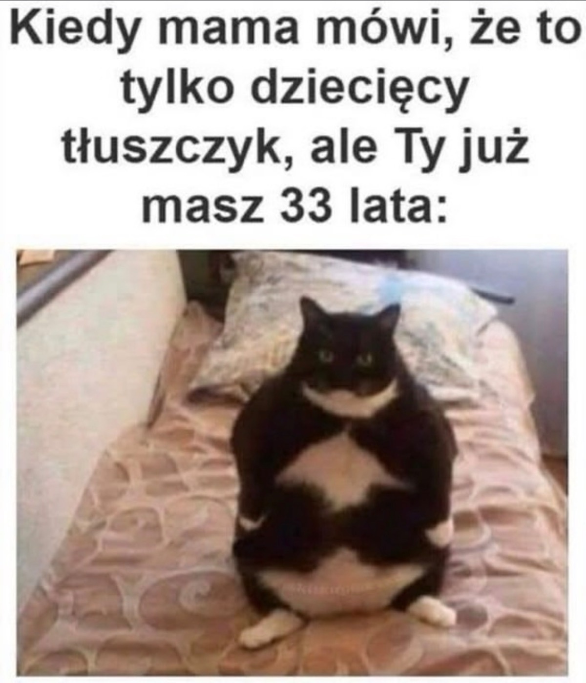 6a062275-09b7-4fee-b2e3-29f31aa70487