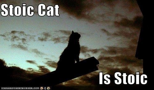 0e44d809-39ca-42be-8590-e6de3a2e47ec