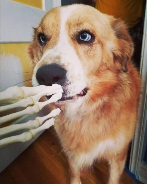 c692e368-40b7-4fdf-afea-ca0396d1f660