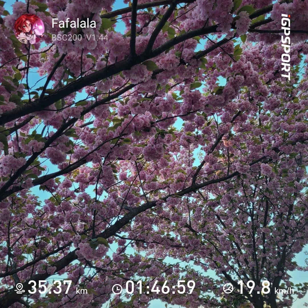 c7bc0279-d5e0-4971-980c-d958e1bc1450