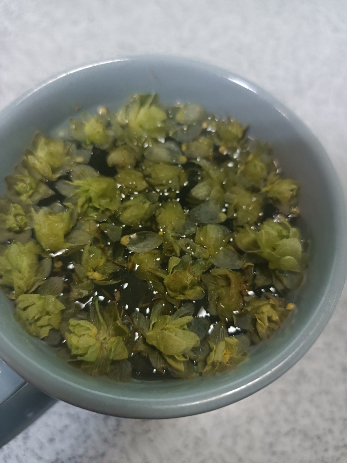 53ed5407-95ee-4743-99ba-fa41419d3bfd