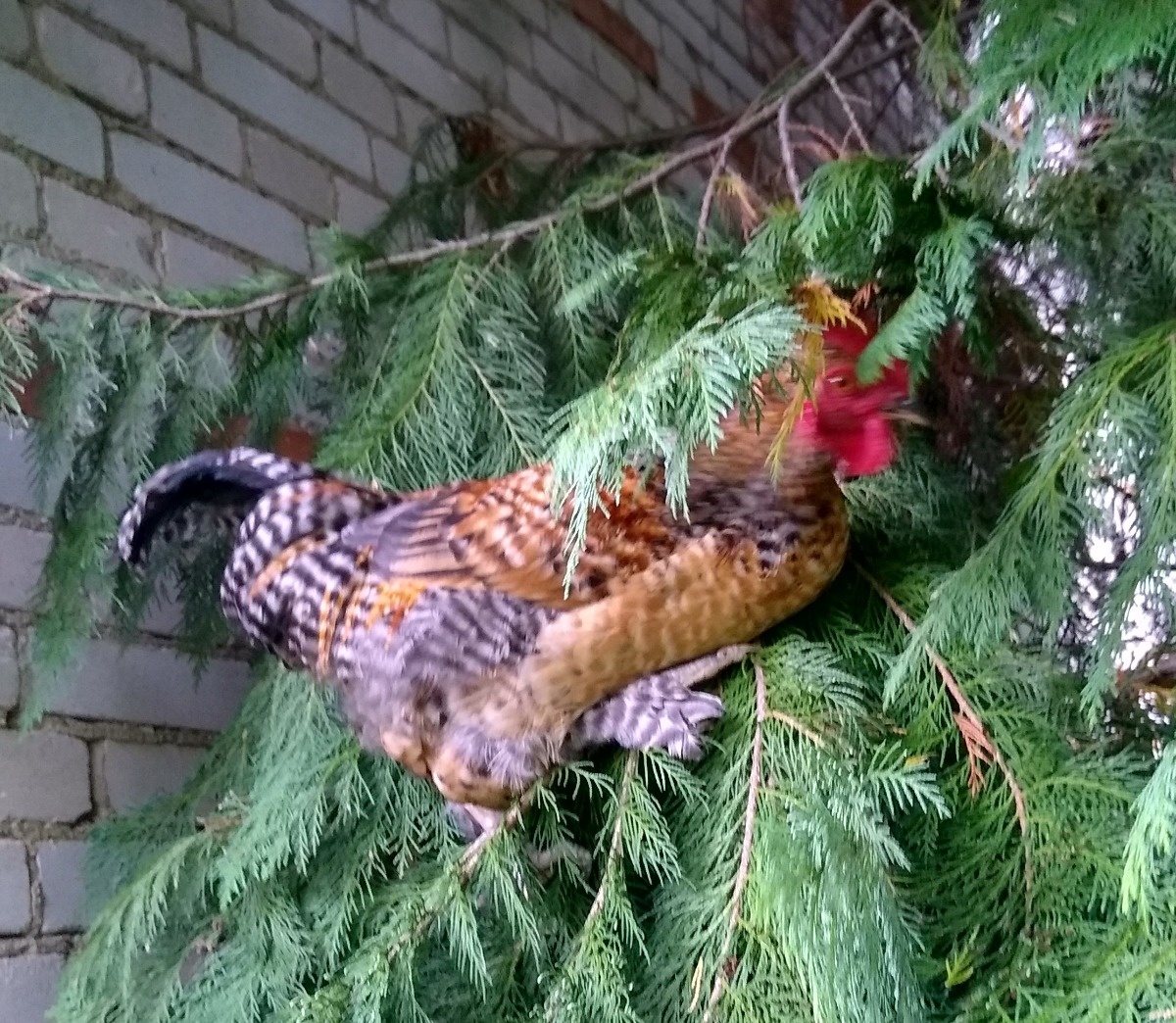 46f94d3b-42cf-4735-aeb2-11839cfbac7a