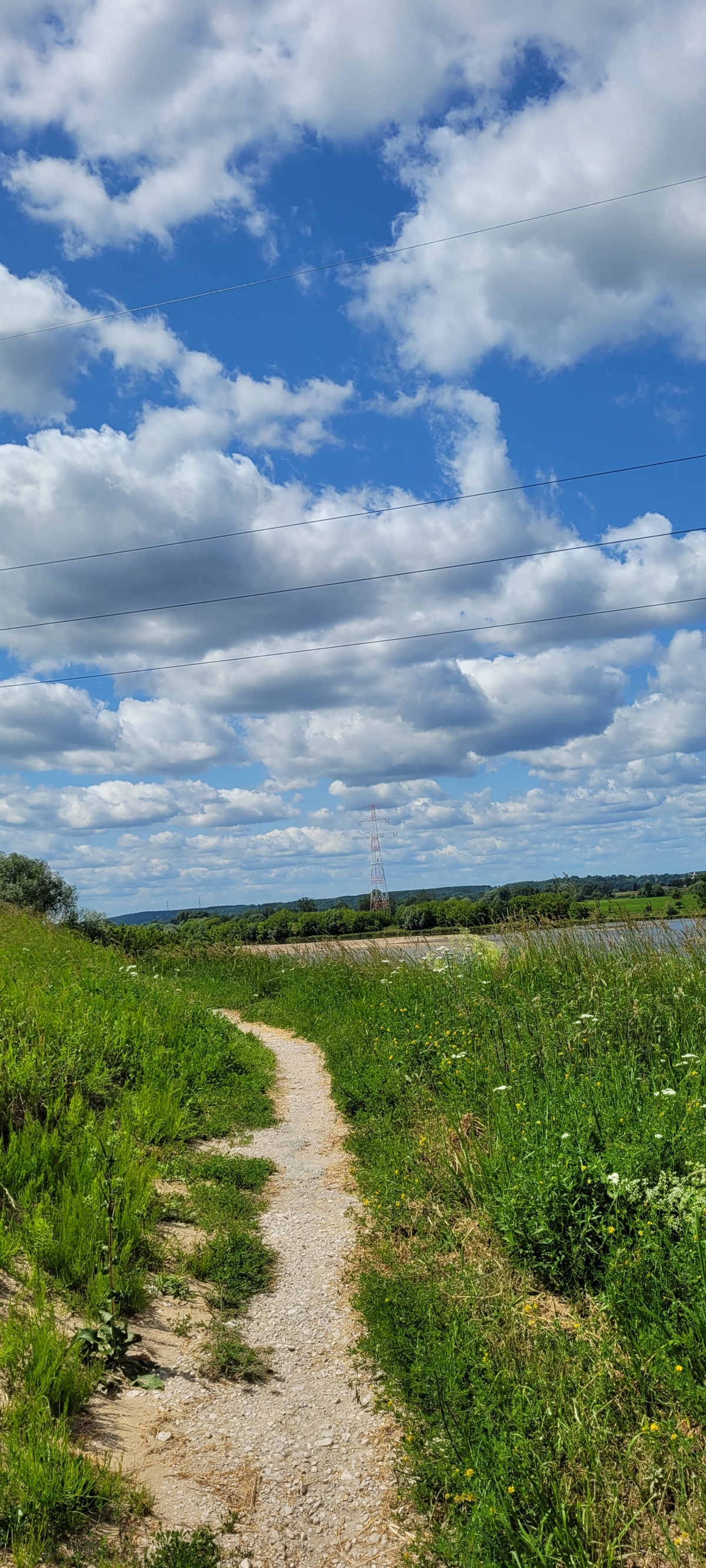 58bb0fb4-af35-456b-b12f-49ec2bd081ff